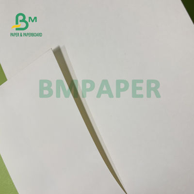Giấy tráng màng PE 210gsm + 15gsm Cup Độ sáng tốt 615mm X 850mm