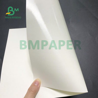 Giấy tráng PE hai mặt 210gsm + 20gsm Độ bền kéo cao