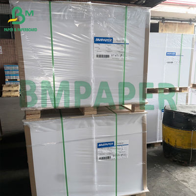 300gsm Giấy các tông trắng phủ nhiều lớp có thể phân hủy cho bát súp