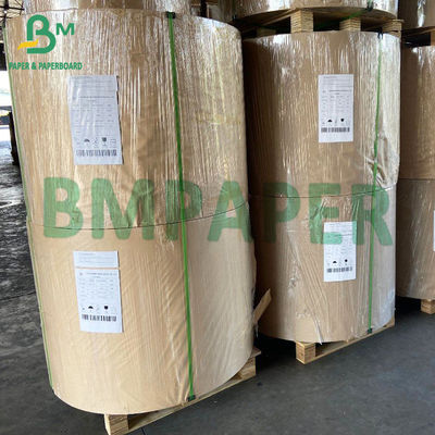 300gsm Giấy các tông trắng phủ nhiều lớp có thể phân hủy cho bát súp