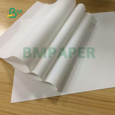 Cuộn giấy đá có chiều rộng 30 inch không thấm nước 120mkr 250mkr để tạo bản đồ