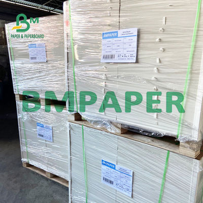 240 250 GSM Bảng giấy Cupstock tráng phủ cho khay đựng thức ăn khô