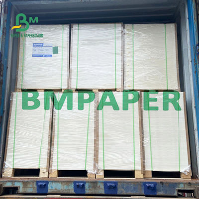 240 250 GSM Bảng giấy Cupstock tráng phủ cho khay đựng thức ăn khô