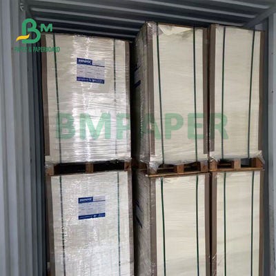 230gsm + 15gsm Độ bền Giấy tráng cốc PE cho bát súp 560mm X 700mm