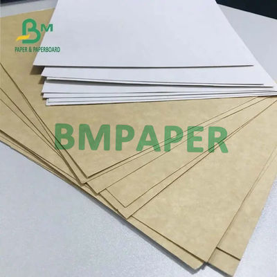 300g 325g 360g Trắng / Bìa cứng Kraft Lớp thực phẩm tráng 1 mặt