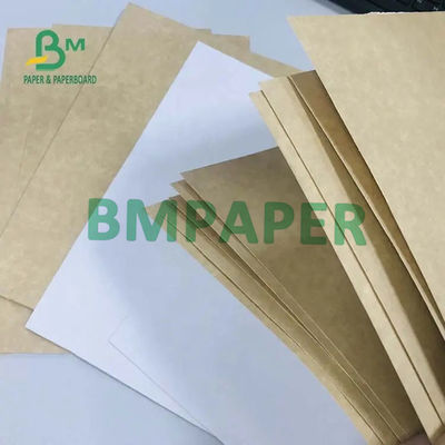300g 325g 360g Trắng / Bìa cứng Kraft Lớp thực phẩm tráng 1 mặt