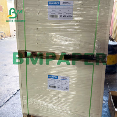 300gsm + 15g Tấm cốc tráng phủ nhiều lớp PE định hình cho cà phê nóng