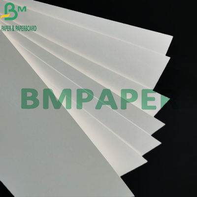 240g + 15g Cốc tráng PE Giấy chứng khoán Nguyên liệu bột giấy nguyên chất để làm cốc giấy