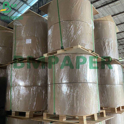 460g + 15g PE tráng phủ có độ thấm cao Tấm lót thấm bia cuộn