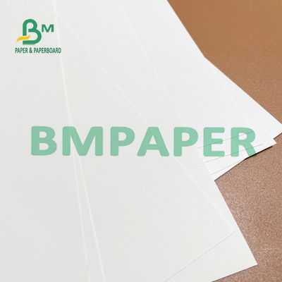 275g 325g 700mm Giấy ngà Bảng trắng FBB lý tưởng cho thư trực tiếp