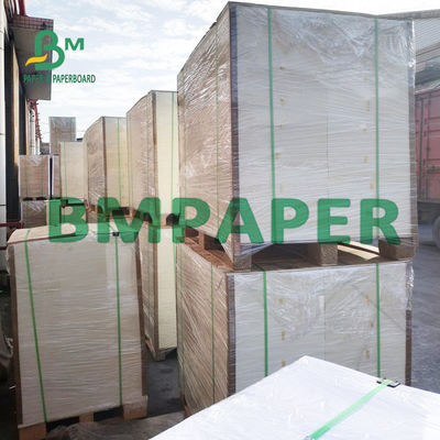 275g 325g 700mm Giấy ngà Bảng trắng FBB lý tưởng cho thư trực tiếp