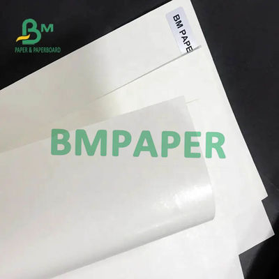 Cốc trắng giấy cuộn 200gsm + 15PE tráng một mặt cho cốc giấy