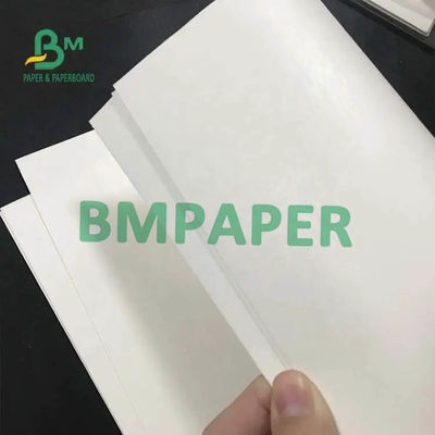 Cốc trắng giấy cuộn 200gsm + 15PE tráng một mặt cho cốc giấy
