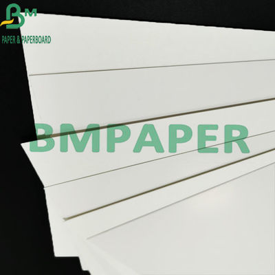 Tấm bọc thực phẩm được tẩy trắng một mặt có độ cứng cao để đóng gói