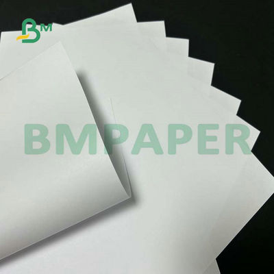 Khổ rộng Giấy không tráng phủ gỗ 55gsm 60gsm 65gsm để in văn bản ở trường