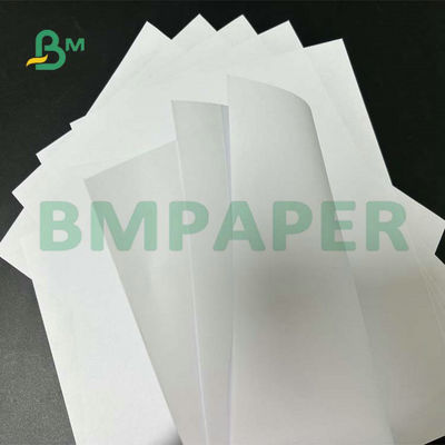 Khổ rộng Giấy không tráng phủ gỗ 55gsm 60gsm 65gsm để in văn bản ở trường