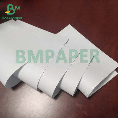 55gsm Giấy in và giấy in offset không tráng gỗ