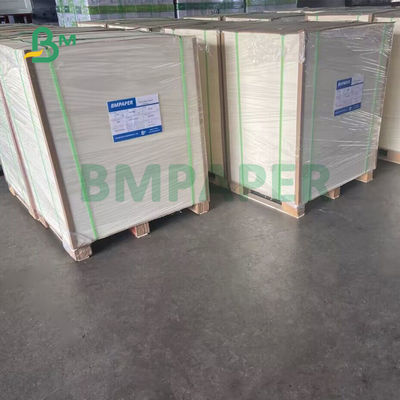 Tấm lót bia không tráng 385gsm 0,7mm Độ hấp thụ nước cao 640 X 880mm