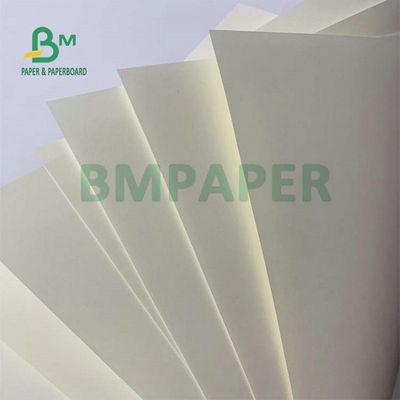 Giấy màu trắng ngà không tráng gỗ Tờ 55gsm 65gsm để làm sổ tay
