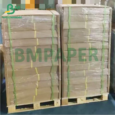 Cuộn giấy Plotter theo dõi mờ kích thước lớn để vẽ 880 X 50m