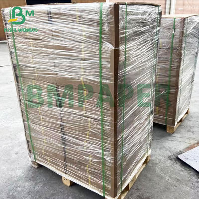 Cuộn giấy Plotter theo dõi mờ kích thước lớn để vẽ 880 X 50m
