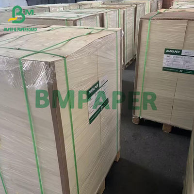 Giấy bóng C2S vô hại C1S Tông 115gsm 130gsm Tờ giấy nghệ thuật 79cm X 109cm