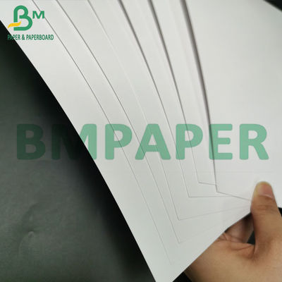 Thớt gấp số lượng lớn 350 gram FBB SBS Tấm thẻ ngà Đóng gói