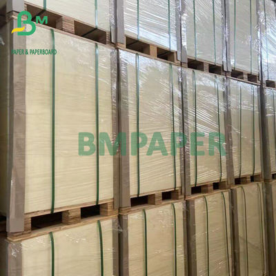 20PT 40PT 60PT Beer Mat Board giấy hấp thụ trắng không phủ