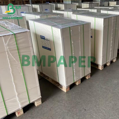 Vỉ Giấy SBS Bảng Ivory C1S Sheet 275G 300G 320G 350G 400G 425G