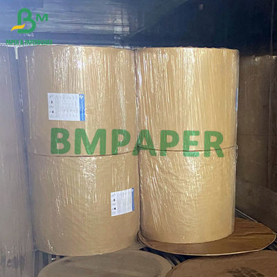 Vỉ Giấy SBS Bảng Ivory C1S Sheet 275G 300G 320G 350G 400G 425G