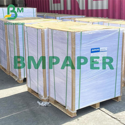 230g 250g 300g In offset Giấy không tráng gỗ cho tờ rơi