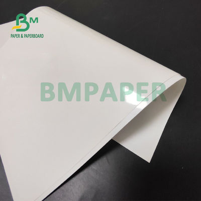 Giấy ướt 65gsm 70gsm C1S cho nhãn bia 49 x 68 cm Chống nước
