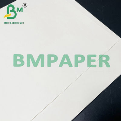 190gsm 200gsm 210gsm Giấy dự trữ an toàn thực phẩm cho thực phẩm nóng