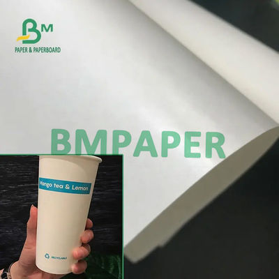 Cấp thực phẩm 210 / 230g + 15g Giấy tráng cốc màu trắng Poly tráng Giấy cuộn cho cốc giấy Bát giấy