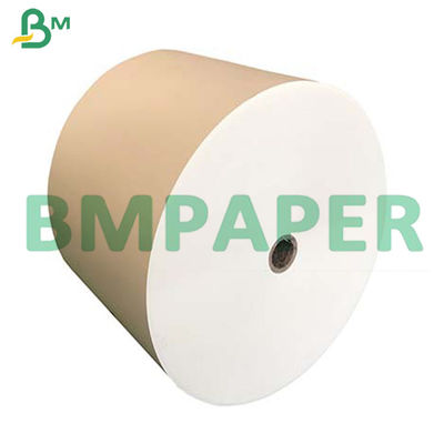 210g + 15g PE tráng thực phẩm cấp bát mì cốc giấy bìa trong cuộn Jumbo