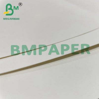 180gsm + 15g PE Tô mì Tô cốc Cốc Giấy Bảng dùng cho thức ăn nóng