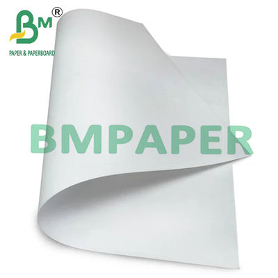Giấy tổng hợp PP có độ bền màu trắng 350um 400um cho nhãn thuốc