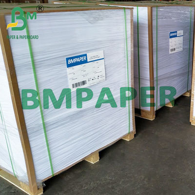 Giấy tổng hợp PP có độ bền màu trắng 350um 400um cho nhãn thuốc