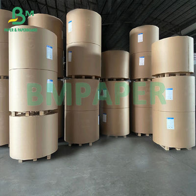 180gsm + 18gsm Giấy bát giấy trắng tráng PE một mặt
