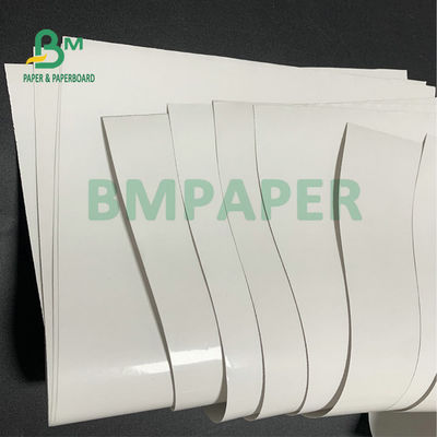 Giấy tráng phủ bóng siêu trắng 80gsm 1020mm 1365mm Jumbo Roll