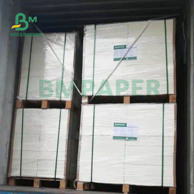 Giấy lót không tráng 0,7mm 1mm cho đồ uống 455mm x 570mm Màu trắng ngà