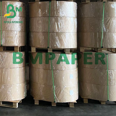 Bảng giấy bọc từ ống hút kraft màu trắng 28 GSM