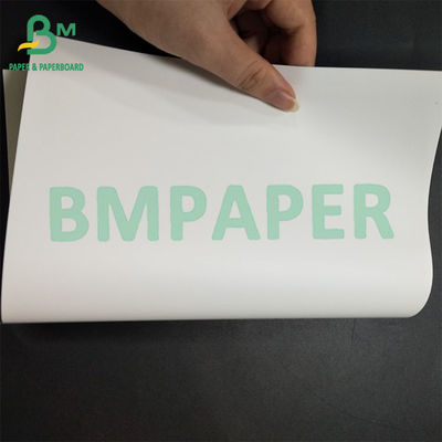 Bảng giấy tổng hợp màu trắng bền chống nước và in tốt cho bao bì