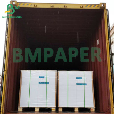 Bảng giấy nghệ thuật C2S đồng mịn và phẳng