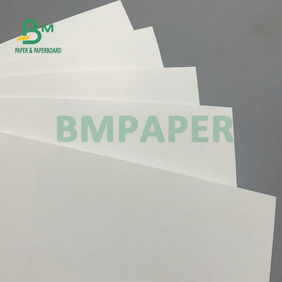 275gm + 15gm PE Polyboard 1 mặt PE phủ FRZEN Chill Whiteboard Cho thực phẩm đông lạnh