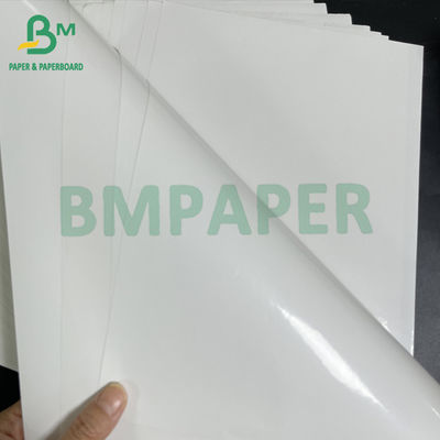 80gm chống nước một bên phủ ẩm sức mạnh bia nhãn giấy