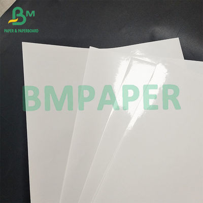 High Gloss And Tear Resistant Silver/Gold Metallized for Beer chai nhãn bên ngoài