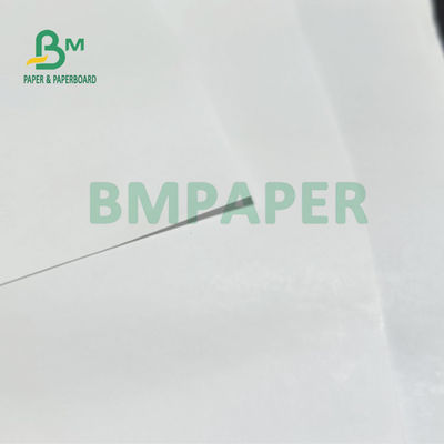 55gm 60gm Jumbo Roll Thermal Receipt Paper cho ngân hàng ATM POS 405mm 795mm