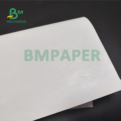 55gm 60gm Jumbo Roll Thermal Receipt Paper cho ngân hàng ATM POS 405mm 795mm