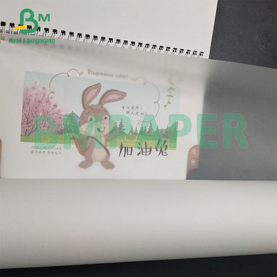 63g Bạch Đỏ Trọng lượng Xác Xám giấy 880mm × 50m Cuộn bao bì